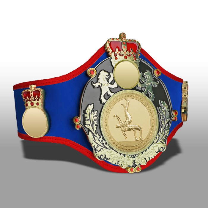 QUEENSBURY PRO LEATHER WRESTLING CHAMPIONSHIP BELT - QUEEN/B/G/WRESTG - 10+ COLOURS